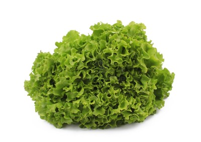 Салат романо 1 кг - купить в Старой Козульке